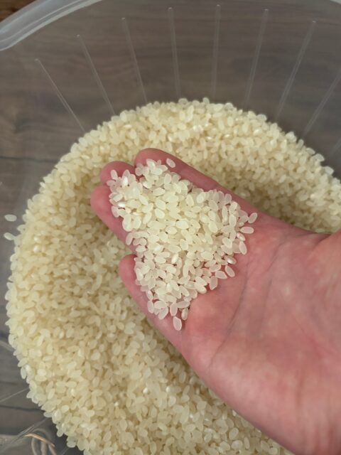 備蓄米の炊き方