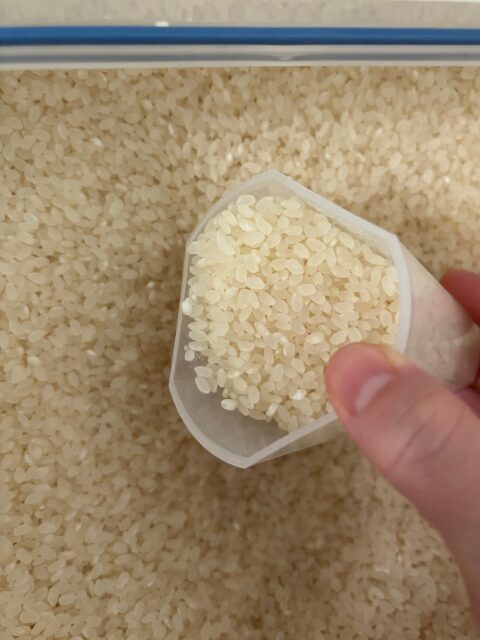 備蓄米の色