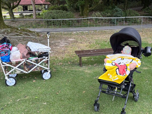 大容量キャリーで公園での移動が楽