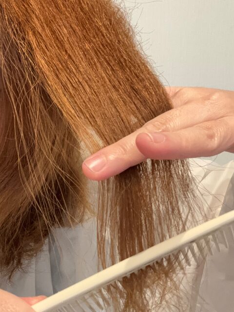 自分で枝毛をカットする方法