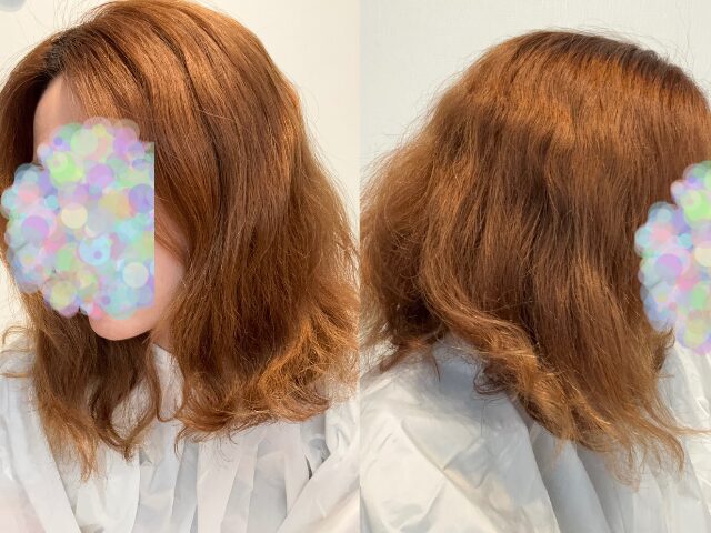 枝毛カットの前