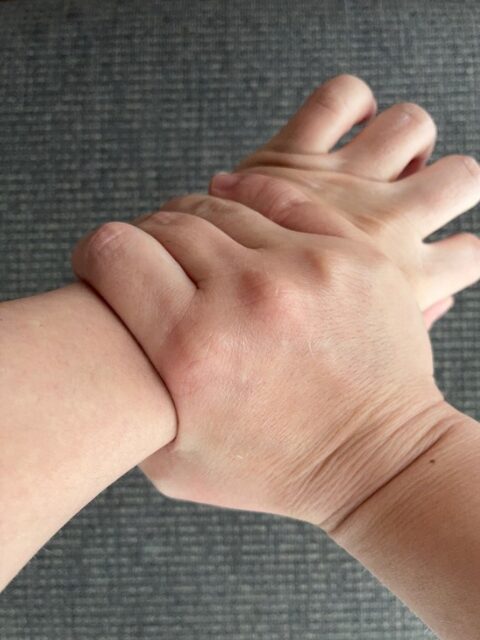 簡単にできるハンドパック