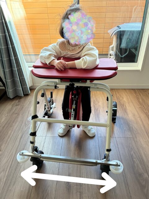 プロスターの大きさ