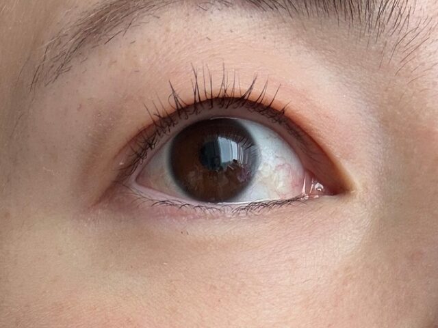 ホットビューラーでまつ毛を上げる