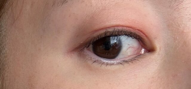 メザイクの上からアイシャドウを塗った