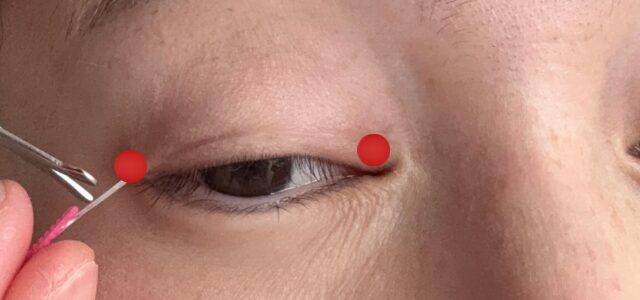 メザイクのカット場所