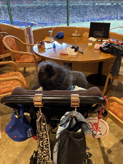 車椅子でバンテリンドーム