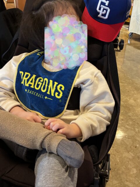 障害児バギーで野球観戦